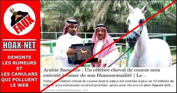 Non,aucun cheval ne sera exécuté à cause de son homosexualité en Arabie Saoudite !