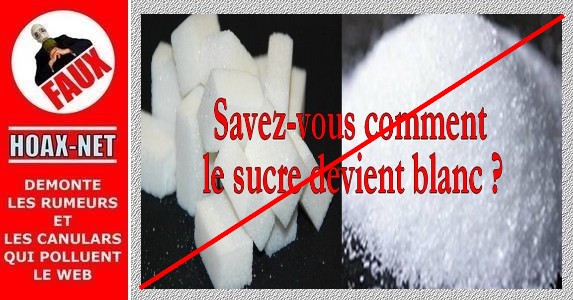 Non, le sucre blanc n’est pas fait a base d’os calcinés d’animaux.