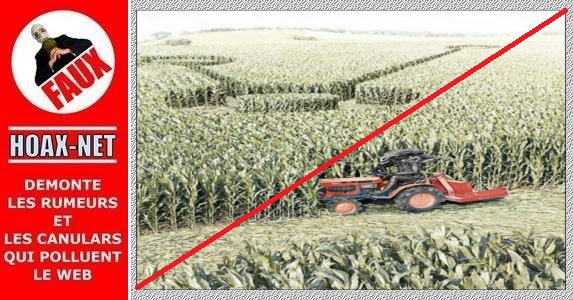 Non, les crops circles ne sont pas créés par les extra-terrestres !