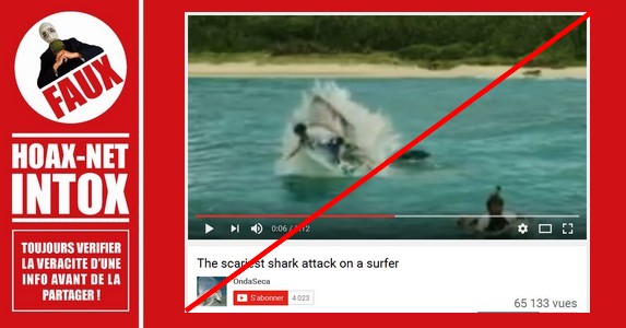 Non, ce surfer n’a pas servi de repas à ce requin…