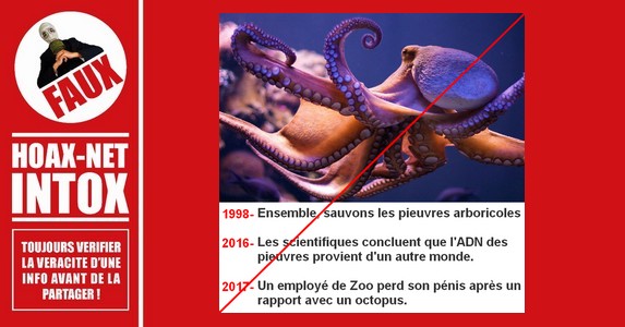 Trilogie d’hoaxes concernant le poulpe « Octopus Tree »