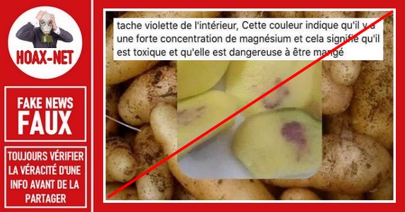 Non, les taches mauves dans les pommes de terre ne sont pas toxiques.