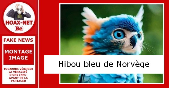 Non, ce hibou bleu aux yeux bleus de Norvège n’existe pas !