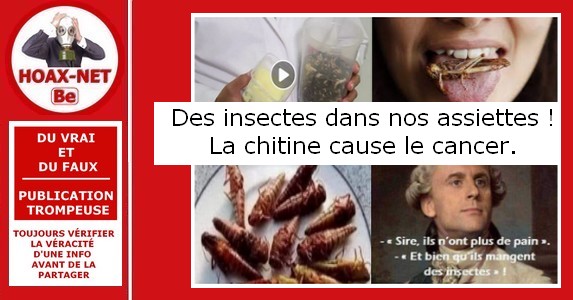 Info trompeuse sur les insectes dans vos assiettes !
