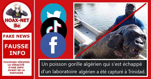 La photo de ce « poisson gorille » Algérien n’a jamais existé !