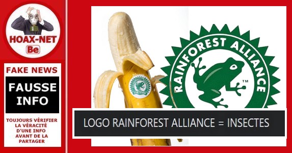 Non, le symbole de la grenouille de Rainforest Alliance sur les aliments ne signifie pas qu’ils contiennent des insectes.