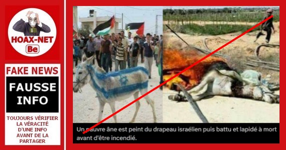 Non, ces images ne montrent PAS un âne peint aux couleurs d’Israël qui a été torturé puis brûlé par des Palestiniens.