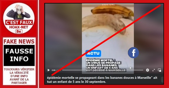 Non, des bananes n