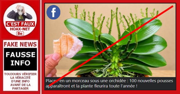 Non, placer un morceau de glace au pied d